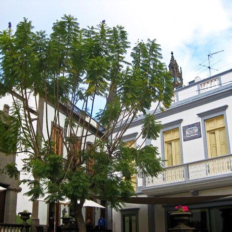 Gran Canaria, Altstadt von Arucas
